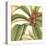 Tropical Blooms and Foliage I-Jennifer Goldberger-Stretched Canvas