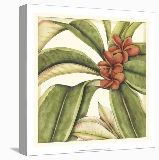 Tropical Blooms and Foliage I-Jennifer Goldberger-Stretched Canvas