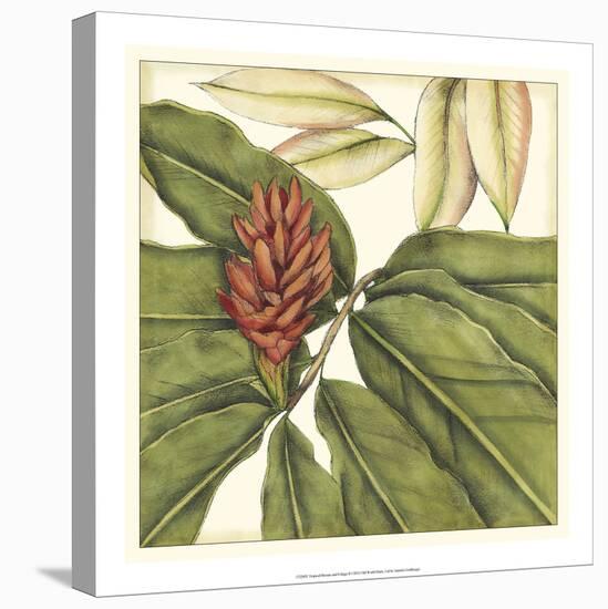 Tropical Blooms and Foliage II-Jennifer Goldberger-Stretched Canvas