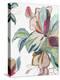 Tropical Botanical Study I-Asia Jensen-Stretched Canvas