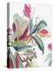 Tropical Botanical Study II-Asia Jensen-Stretched Canvas