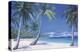 Tropical Breeze-Paul Kenton-Stretched Canvas