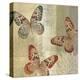 Tropical Butterflies II-Tandi Venter-Stretched Canvas