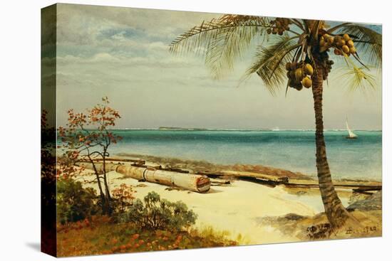 Tropical Coast-Albert Bierstadt-Premier Image Canvas