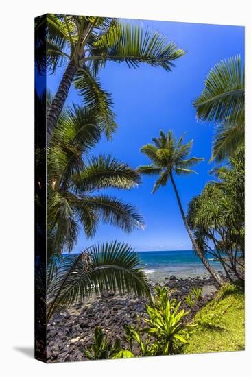 Tropical Coastline of Princeville, Hi-Andrew Shoemaker-Premier Image Canvas