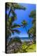 Tropical Coastline of Princeville, Hi-Andrew Shoemaker-Premier Image Canvas