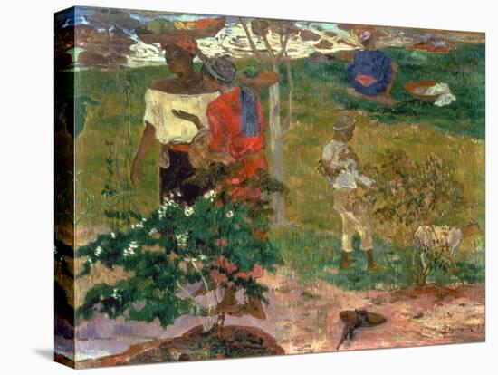 Tropical Conversation, (Conversation Tropiques, Martinique), 1887-Paul Gauguin-Premier Image Canvas