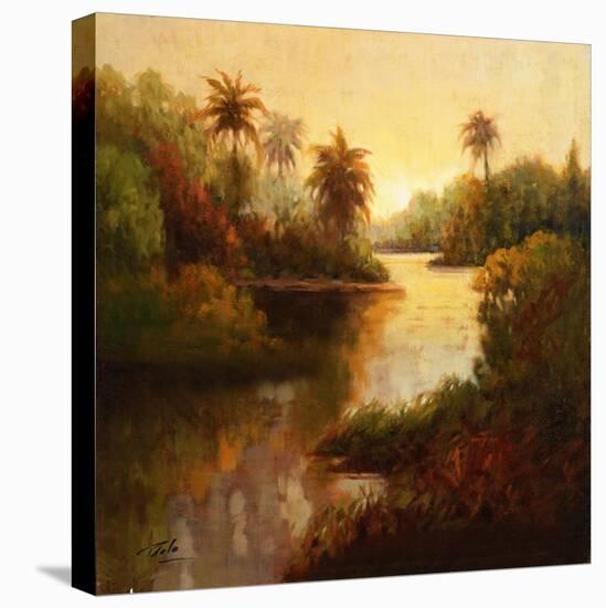 Tropical Cove-Enrique Bolo-Stretched Canvas