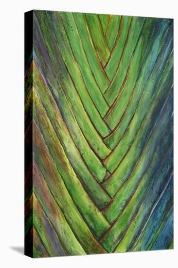 Tropical Crop I-Melissa Wang-Stretched Canvas