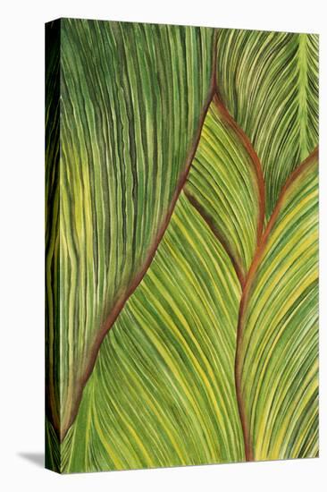 Tropical Crop II-Melissa Wang-Stretched Canvas