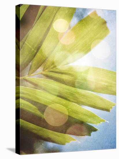 Tropical Daydream I-Emily Robinson-Premier Image Canvas