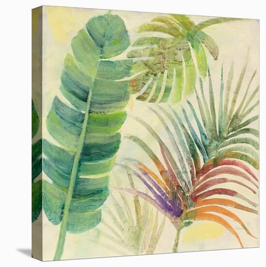 Tropical Delight I-Albena Hristova-Stretched Canvas