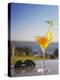 Tropical Drink at Hotel Cardoso, Maputo, Mozambique-Ian Trower-Premier Image Canvas