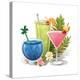 Tropical Drink IV-Julie Goonan-Premier Image Canvas