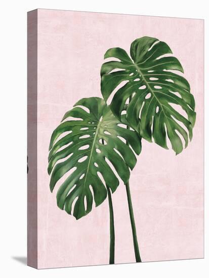 Tropical Duet-Tania Bello-Stretched Canvas