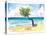 Tropical Eagle Beach in Aruba Dutch Caribbean-M. Bleichner-Stretched Canvas