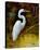 Tropical Egret I-Kilian-Stretched Canvas