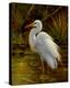 Tropical Egret II-Kilian-Stretched Canvas