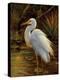 Tropical Egret II-Kilian-Stretched Canvas