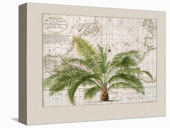 Tropical Empire No1-Andrea Haase-Premier Image Canvas