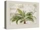 Tropical Empire No1-Andrea Haase-Premier Image Canvas