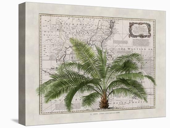 Tropical Empire No2-Andrea Haase-Premier Image Canvas