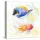 Tropical Fish Square I-Lanie Loreth-Stretched Canvas