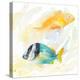 Tropical Fish Square II-Lanie Loreth-Stretched Canvas