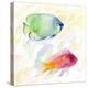 Tropical Fish Square III-Lanie Loreth-Stretched Canvas