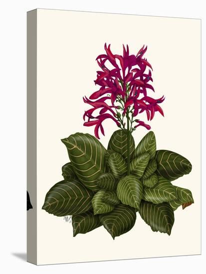 Tropical Flower 1-Fab Funky-Stretched Canvas