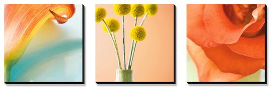 Tropical Flowers Triptych-null-Stretched Canvas