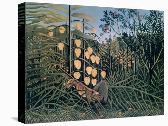 Tropical Forest: Battling Tiger and Buffalo, 1908-Henri Rousseau-Premier Image Canvas