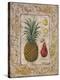 Tropical Fruit II-Janet Kruskamp-Stretched Canvas