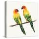 Tropical Fun Bird III-Harriet Sussman-Stretched Canvas