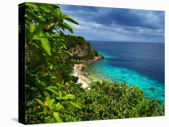 Tropical Green Island and Blue Sea with Coral Reef. View from Top of a Mountain to Apo Reef Natural-Dudarev Mikhail-Premier Image Canvas