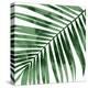 Tropical Green Palm I-Melonie Miller-Stretched Canvas