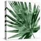 Tropical Green Palm IV-Melonie Miller-Stretched Canvas