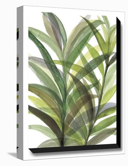 Tropical Greens II-Rebecca Meyers-Stretched Canvas