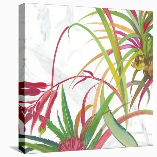 Tropical II-Asia Jensen-Stretched Canvas