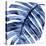 Tropical Indigo Palm II-Melonie Miller-Stretched Canvas