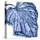 Tropical Indigo Palm III-Melonie Miller-Stretched Canvas