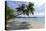 Tropical Island Beach at Matangi Island Resort, Vanua Levu, Fiji, Pacific-Louise Murray-Premier Image Canvas