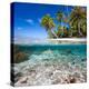 Tropical Island under and Above Water-Blueorangestudio-Premier Image Canvas