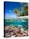 Tropical Island-Blueorangestudio-Premier Image Canvas