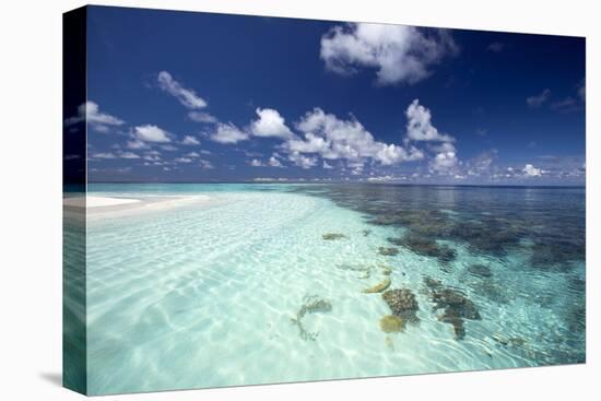 Tropical Lagoon and Coral Reef, Baa Atoll, Maldives, Indian Ocean, Asia-Sakis Papadopoulos-Premier Image Canvas