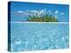 Tropical lagoon with palm island, Maldives-Frank Krahmer-Stretched Canvas