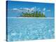 Tropical lagoon with palm island, Maldives-Frank Krahmer-Stretched Canvas