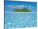 Tropical lagoon with palm island, Maldives-Frank Krahmer-Stretched Canvas