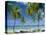 Tropical Landscape of Palm Trees at Pigeon Point on the Island of Tobago, Caribbean-John Miller-Premier Image Canvas