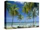 Tropical Landscape of Palm Trees at Pigeon Point on the Island of Tobago, Caribbean-John Miller-Premier Image Canvas